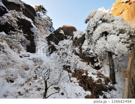 Mountain landscape after heavy snowfall, trees covered with snow and rime, China, Anhui Province, Mount Huang 126682494