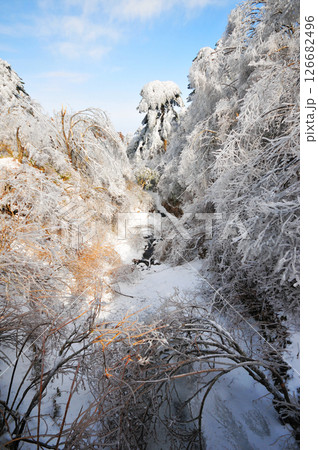 Mountain landscape after heavy snowfall, trees covered with snow and rime, China, Anhui Province, Mount Huang Mountain landscape after heavy snowfall, trees covered with snow and rime, China, Anhui Province, Mount Huang 126682496
