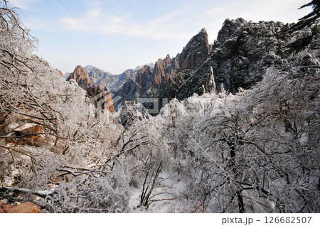 Mountain landscape after heavy snowfall, trees covered with snow and rime, China, Anhui Province, Mount Huang 126682507