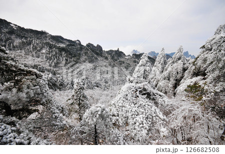 Mountain landscape after heavy snowfall, trees covered with snow and rime, China, Anhui Province, Mount Huang Mountain landscape after heavy snowfall, trees covered with snow and rime, China, Anhui Province, Mount Huang 126682508