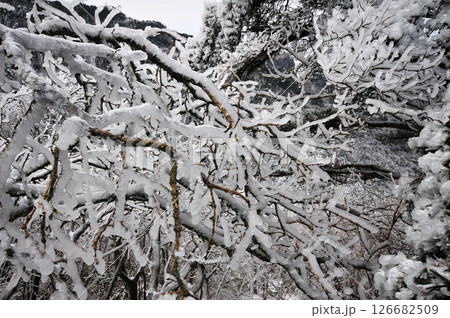 Mountain landscape after heavy snowfall, trees covered with snow and rime, China, Anhui Province, Mount Huang Mountain landscape after heavy snowfall, trees covered with snow and rime, China, Anhui Province, Mount Huang 126682509