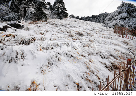 Mountain landscape after heavy snowfall, trees covered with snow and rime, China, Anhui Province, Mount Huang 126682514