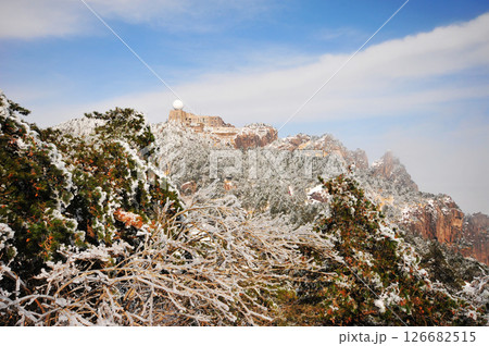 Mountain landscape after heavy snowfall, trees covered with snow and rime, China, Anhui Province, Mount Huang 126682515