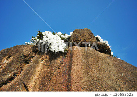 Mountain landscape after heavy snowfall, trees covered with snow and rime, China, Anhui Province, Mount Huang 126682522