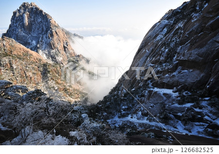 Mountain landscape after heavy snowfall, trees covered with snow and rime, sea of fluffy misty clouds ,China, Anhui Province, Mount Huang 126682525