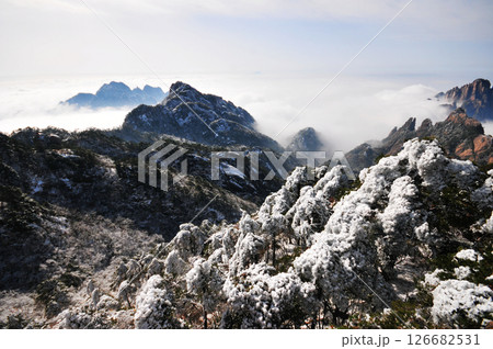 Mountain landscape after heavy snowfall, trees covered with snow and rime, sea of fluffy misty clouds ,China, Anhui Province, Mount Huang 126682531