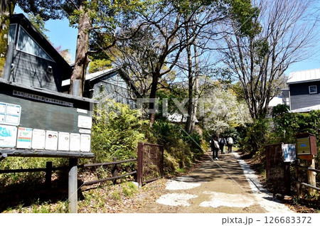 横浜市　こども自然公園の青少年野外活動センターと新緑 126683372