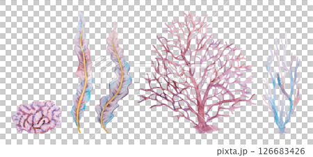 Collection of watercolor marine plants and corals in violet, pink, and blue hues. Hand-drawn underwater flora elements isolated on transparent background, perfect for ocean designs 126683426