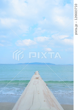 夏の海に伸びる丸太の道 126683710