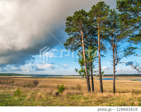 Sunlight breaks through clouds over tranquil landscape with tall trees and serene water Sunlight breaks through clouds over tranquil landscape with tall trees and serene water 126683818