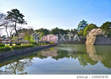 《愛知県》春の名古屋城と満開の桜 《愛知県》春の名古屋城と満開の桜 126683876
