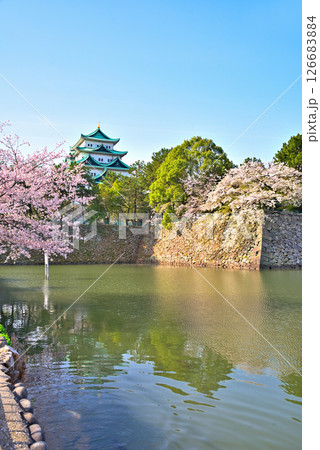 《愛知県》春の名古屋城と満開の桜 《愛知県》春の名古屋城と満開の桜 126683884