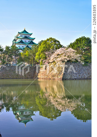 《愛知県》春の名古屋城と満開の桜 126683895