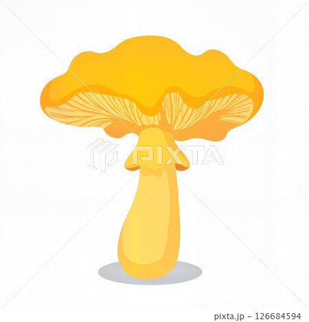 Vibrant chanterelle mushroom illustration on white background, clarity 126684594