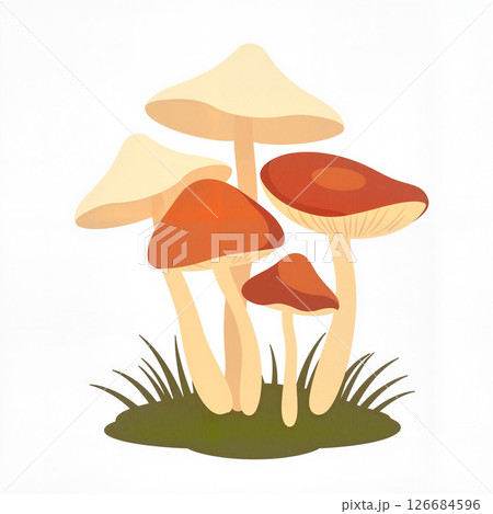 Cluster of earthy-toned mushrooms in minimal style, nature concept 126684596