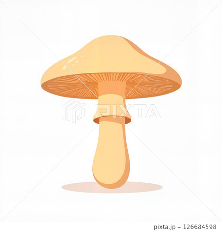 Stylized mushroom cap showcasing gills on white background, simplicity 126684598