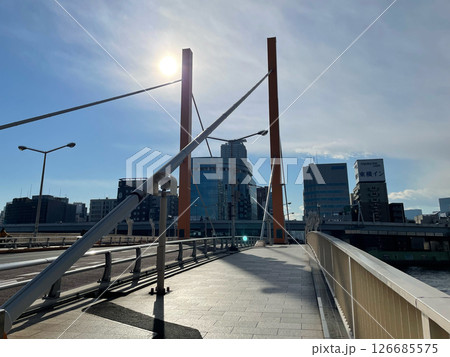隅田川にかかる新大橋の歩道 126685575