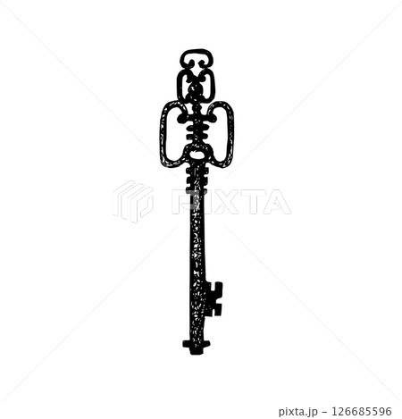 Old vintage key. Graphics vector illustration with white plate. Black metal openwork key ink hand drawn for Gothic, Esoteric design. Antique object for logo, packaging Old vintage key. Graphics vector illustration with white plate. Black metal openwork key ink hand drawn for Gothic, Esoteric design. Antique object for logo, packaging 126685596