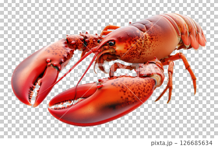 Lobster seafood transparent PNG isolated on white background. 126685634