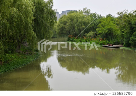 a river in the wild and plants on its banks a river in the wild and plants on its banks 126685790