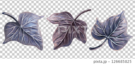 Dark purple and blue night ivy foliage. Gothic mysterious floral watercolor illustration. Perfect for Halloween decoration, midnight composition, magic or witch set, whimsical design, elegant print. Dark purple and blue night ivy foliage. Gothic mysterious floral watercolor illustration. Perfect for Halloween decoration, midnight composition, magic or witch set, whimsical design, elegant print. 126685825