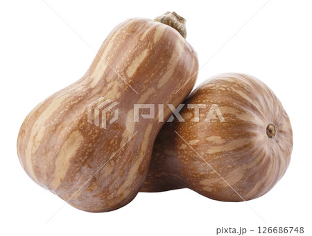 Pumpkin Butternut Squash isolated on a white background 126686748