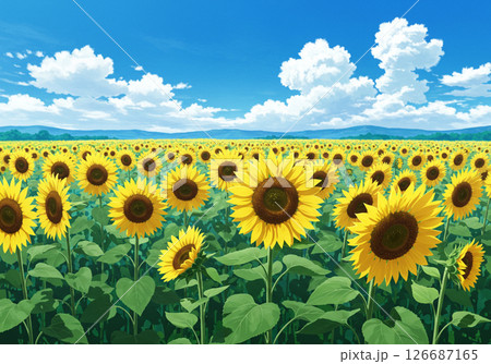 夏の風景 126687165