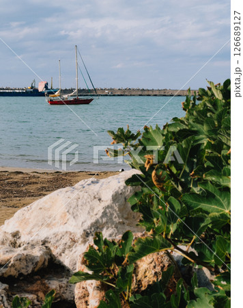Scenic view of red sailboat anchored near coast on cloudy day, with fig tree in foreground and cargo ship in background. Red sailboat anchored near rocky coastline, fig tree framing, cargo vessel Scenic view of red sailboat anchored near coast on cloudy day, with fig tree in foreground and cargo ship in background. Red sailboat anchored near rocky coastline, fig tree framing, cargo vessel 126689127