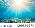 Sunbeams Pierce Tranquil Ocean Depths. 126689570