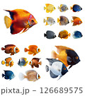 Vibrant Aquarium Fish Collection on Black 126689575