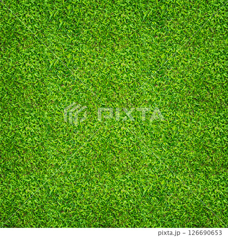 Green grass background. Green lawn pattern and texture. Close up image. 126690653