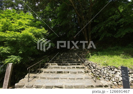 兵庫県豊岡市　玄武洞公園　白虎洞への道 126691467