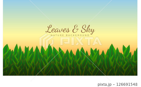 Sunset Sky Behind Lush Green Leaves.  126691548