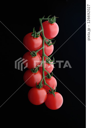ブランドミニトマト ブランドミニトマト 126692027