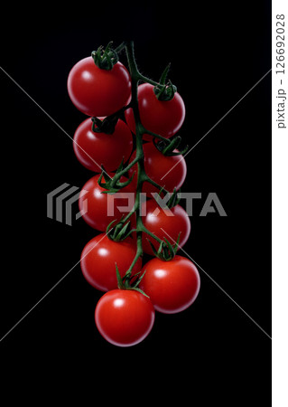 ブランドミニトマト ブランドミニトマト 126692028