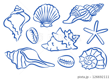 A Beautiful Collection of HandDrawn Illustrations Featuring Seashells and Starfish 126692111