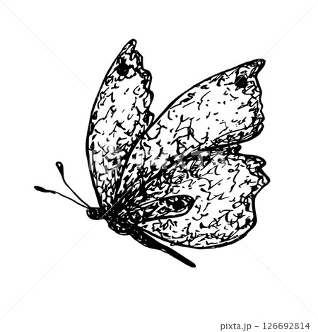 Graphic butterfly. Vector illustration. Hand drawn insect ink for packaging design, postcards, textile, tablecloth, dishes, books Graphic butterfly. Vector illustration. Hand drawn insect ink for packaging design, postcards, textile, tablecloth, dishes, books 126692814