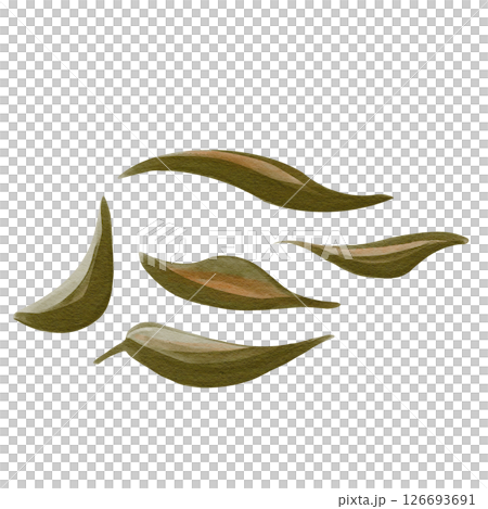 Set of simple autumn leaves. Brown, green and orange colors. Old withered foliage lies. Simple sketch drawing. Watercolor illustration without background. Hand drawing. High quality illustration Set of simple autumn leaves. Brown, green and orange colors. Old withered foliage lies. Simple sketch drawing. Watercolor illustration without background. Hand drawing. High quality illustration 126693691