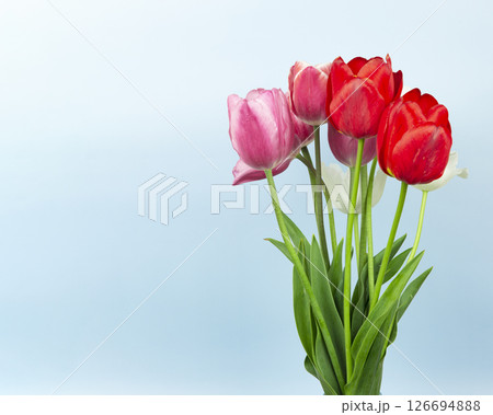 Beautiful bouquet of tulips. colorful tulips. nature background 126694888