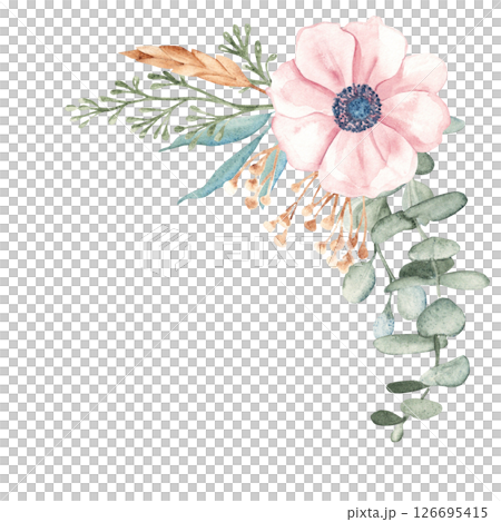 Anemone Bouquet with Eucalyptus Branches, Dry yellow Tansy and Spikelets of Wheat or Rye. Watercolor Hand drawn floral corner composition on a white background. For greeting birthday, wedding 126695415