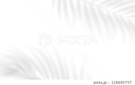 Transparent shadow overlay effect tropical leaves. Realistic shadow of palm branch. Mockup of transparent tropic leaves shadow. Vector illustration Transparent shadow overlay effect tropical leaves. Realistic shadow of palm branch. Mockup of transparent tropic leaves shadow. Vector illustration 126695757