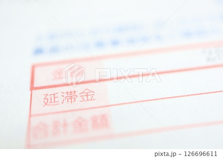 税金の延滞に関する書類 税金の延滞に関する書類 126696611