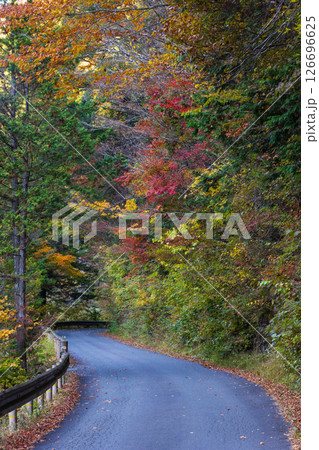 秋の長野県大桑村 紅葉の阿寺渓谷(渓谷沿いの道) 秋の長野県大桑村 紅葉の阿寺渓谷(渓谷沿いの道) 126696625
