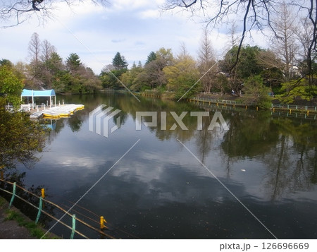 武蔵関公園 126696669