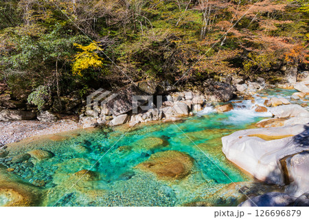 秋の長野県大桑村　紅葉の阿寺渓谷 126696879