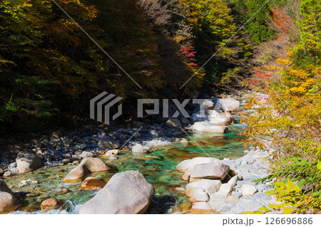 秋の長野県大桑村　紅葉の阿寺渓谷 126696886