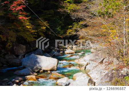 秋の長野県大桑村　紅葉の阿寺渓谷 126696887