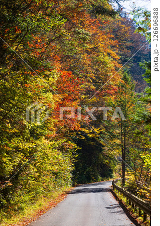 秋の長野県大桑村 紅葉の阿寺渓谷(渓谷沿いの道) 秋の長野県大桑村 紅葉の阿寺渓谷(渓谷沿いの道) 126696888