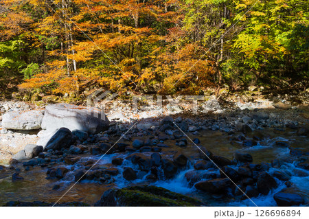 秋の長野県大桑村　紅葉の阿寺渓谷 126696894