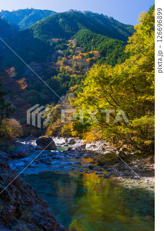 秋の長野県大桑村　紅葉の阿寺渓谷 126696899